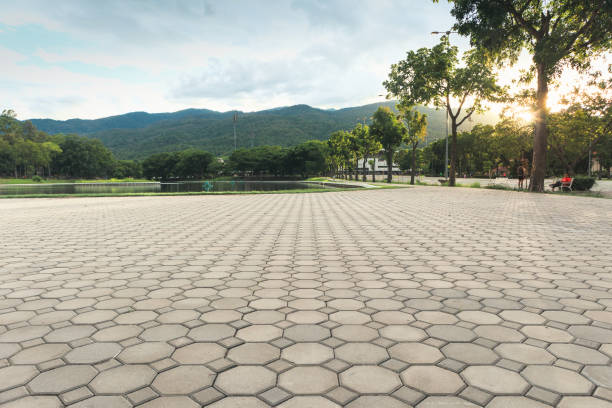 Best Driveway Paving Contractor  in Batavia, NY